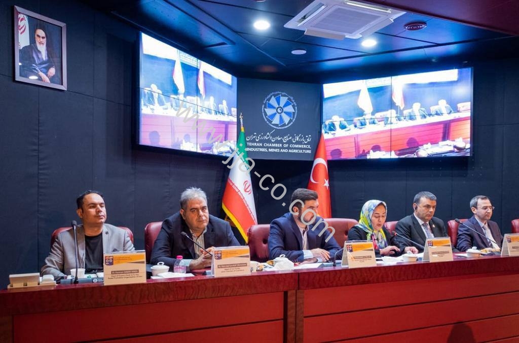 دیدار و مذاکره نمایندگان شرکت های ترکیه با فعالان اقتصادی ایرانی